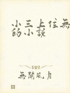 小三上位无三观的小说