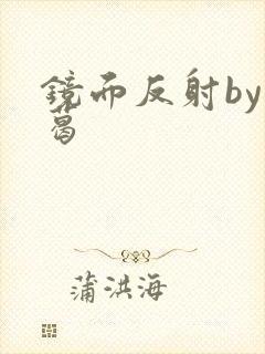 镜面反射by九葛