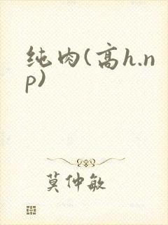 纯肉(高h.np)