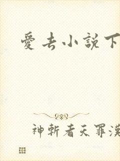 爱去小说下载网