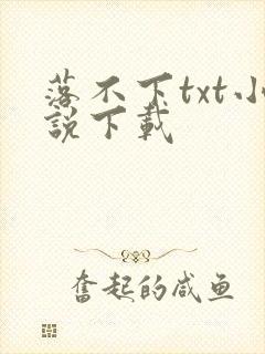 落不下txt小说下载