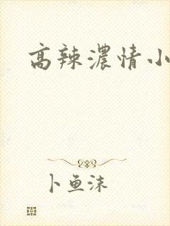 高辣浓情小说
