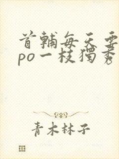 首辅每天要不够po一枝独秀全文