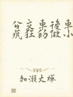 公交车后车座的疯狂的做小