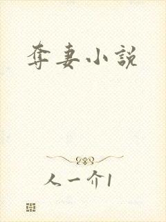 夺妻小说