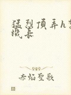 猛烈顶弄h禁欲机长