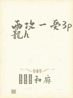 两攻一受3p双龙h
