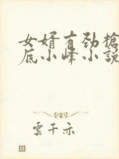 女婿有劲枪枪到底小峰小说