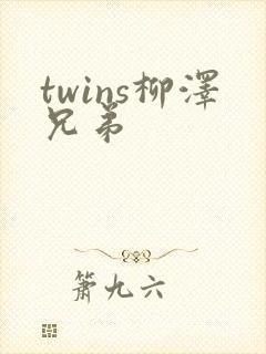 twins柳泽兄弟