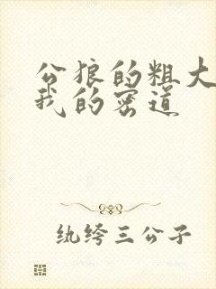 公狼的粗大挺进我的密道