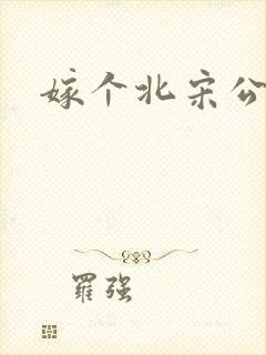 嫁个北宋公务员