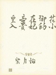 皇帝在御花园进入贵妃的小说