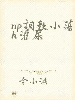 np调教小荡货h灌尿