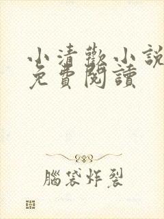 小清欢小说全文免费阅读