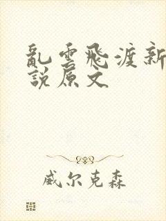 乱云飞渡新编小说原文