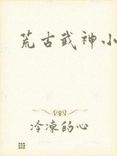 荒古武神小说