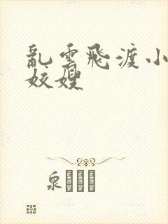 乱云飞渡小说之姣嫂