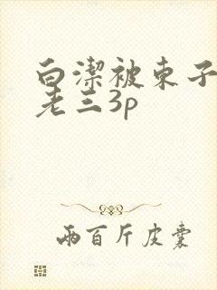 白洁被东子老二老三3p
