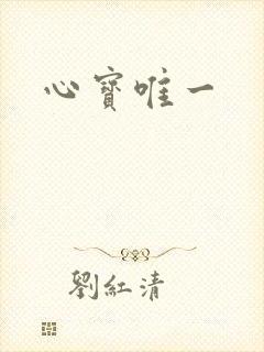 心宝唯一