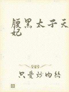 腹黑太子天降萌妃