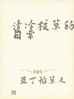 清冷校草的抹布日常