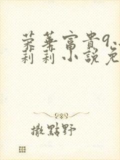 荣华富贵9小王莉莉小说免费阅读