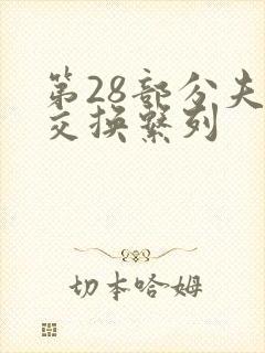 第28部分夫妇交换系列