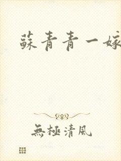 苏青青一嫁三夫