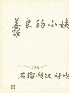 善良的小姨子小说