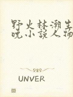 野火林潮生林晚晚小说人物野火