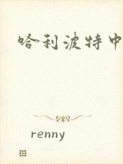 哈利波特中文版