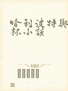 哈利波特与火焰杯小说