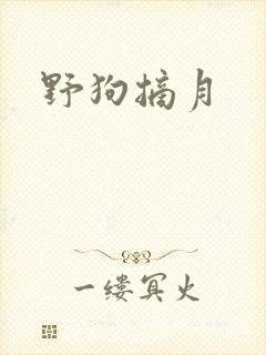 野狗摘月