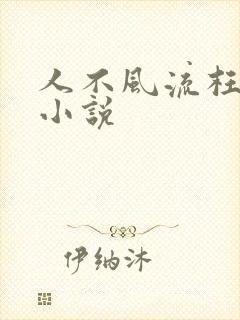 人不风流枉少年小说