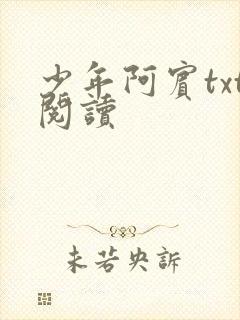 少年阿宾txt阅读