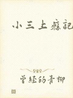 小三上瘾记