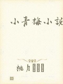 小青梅小说