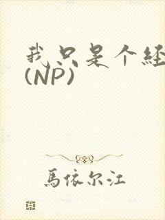 我只是个经纪人(NP)