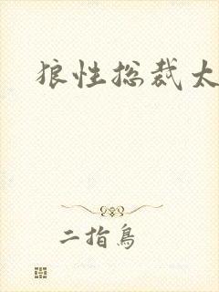 狼性总裁太凶猛