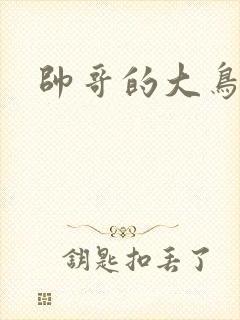 帅哥的大鸟