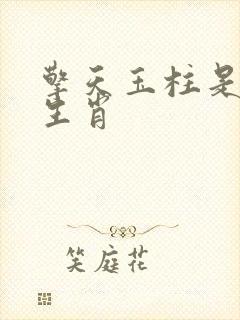 擎天玉柱是什么生肖