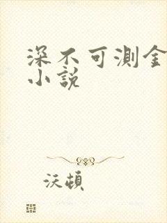 深不可测金银花小说