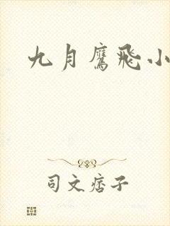 九月鹰飞小说