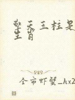 擎天玉柱是什么生肖