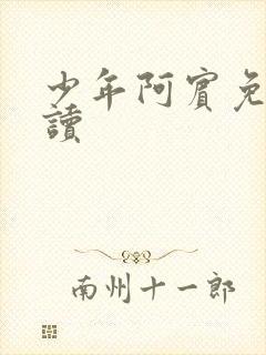 少年阿宾免费阅读