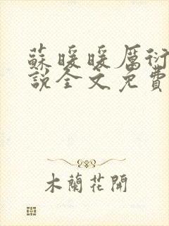 苏暖暖厉衍琛小说全文免费阅读