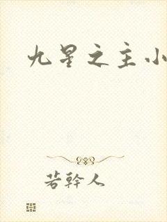 九星之主小说