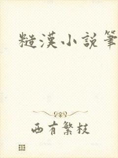 糙汉小说笔趣阁