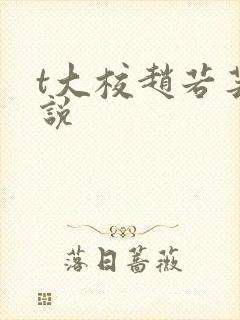 t大校赵若芸小说