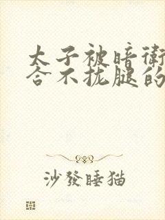 太子被暗卫c到合不拢腿的后果